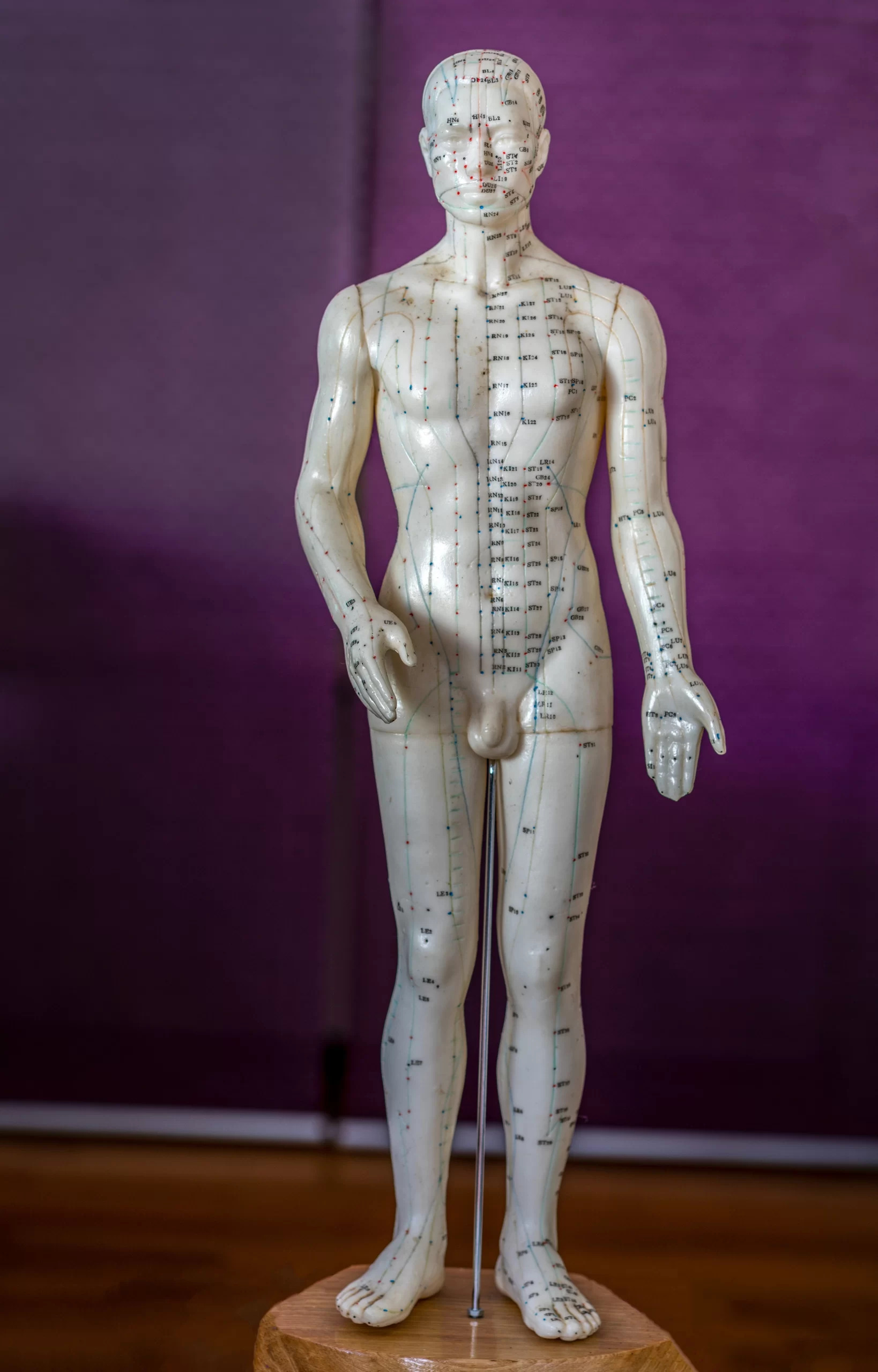 The Abingdon Natural Health & Therapy Centre