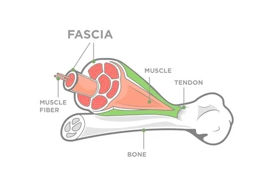 The Abingdon Natural Health & Therapy Centre