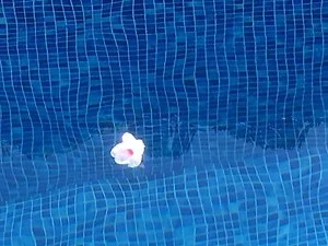 Stephanie - The Abingdon Natural Health & Therapy Centre